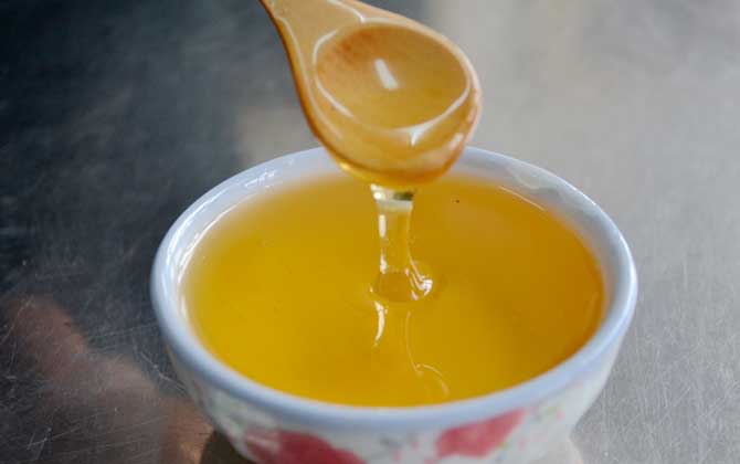 稀有蜜種的種類及介紹 黃柏蜜