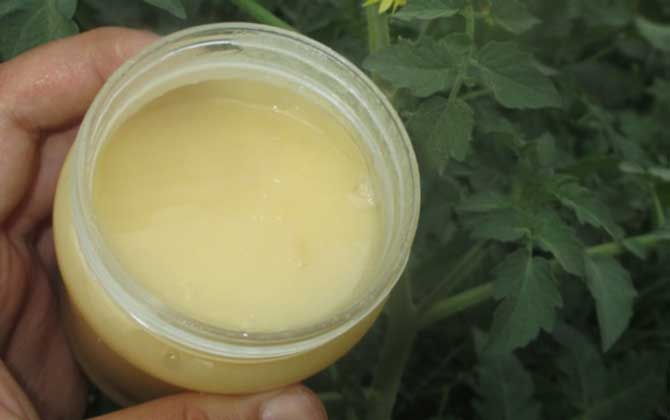 蜂蜜蘋果醋什么時候喝最好? 蜂蜜