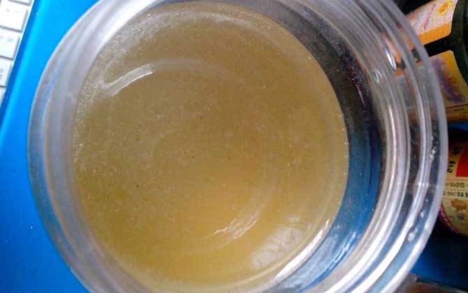 蜂蜜檸檬的腌制方法及小竅門(mén) 蜂蜜