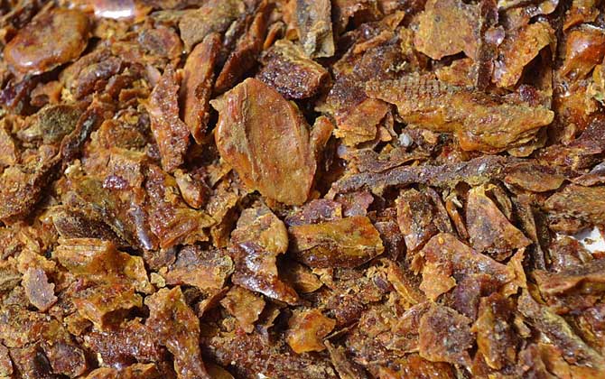 蜂膠可以長期服用嗎? 蜂膠