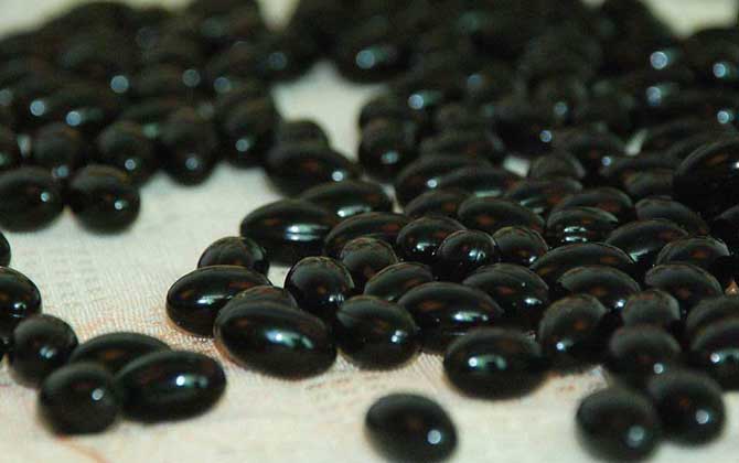 女性經常吃蜂膠有什么害處? 蜂膠