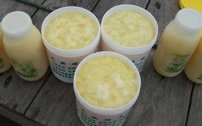 喝蜂王漿一個月有什么變化? 蜂王漿