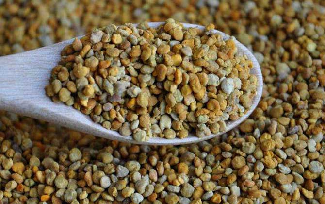 花粉的功效與作用及食用方法 花粉