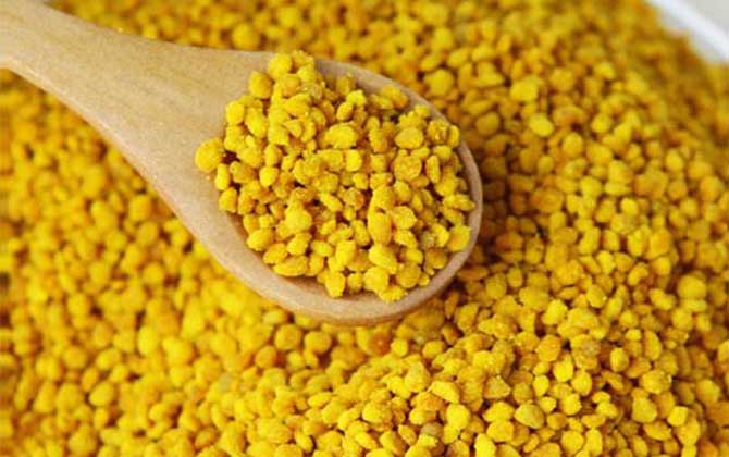 蜂花粉和松花粉有什么區(qū)別? 蜂花粉