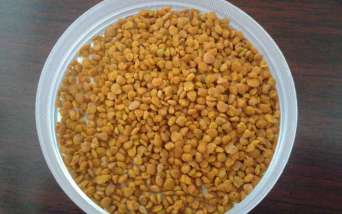 吃茶花粉有什么副作用? 茶花粉