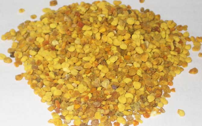 什么人群不適合吃花粉? 花粉