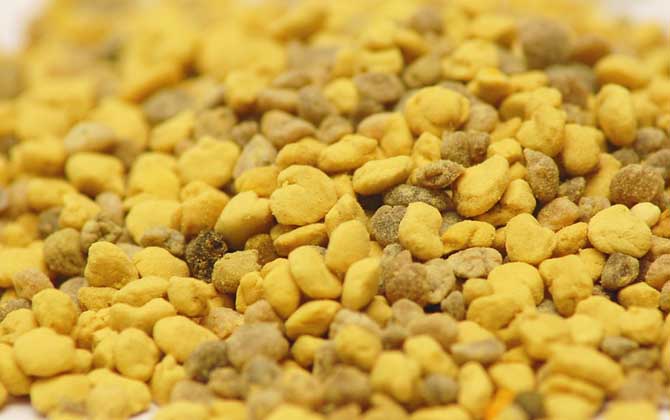 花粉的功效與作用及禁忌人群 花粉