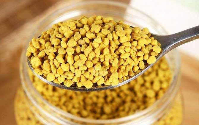 花粉的功效與作用及禁忌人群 花粉