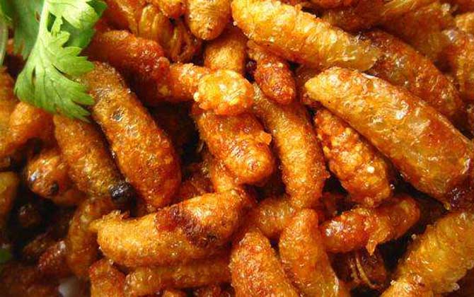 雄蜂蛹怎么吃最簡單? 油炸蜂蛹