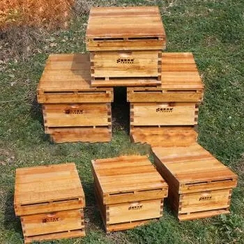 泡桐板能不能做中蜂蜂箱 泡桐板能不能做中蜂蜂箱