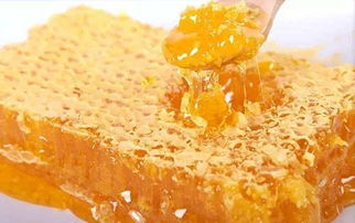 蜂蠟的用途和方法(蜂蠟的作用與功效) 蜂蠟的用途和方法(蜂蠟的作用與功效)