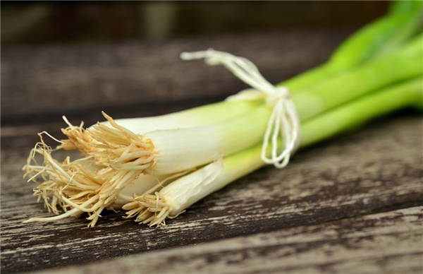 大蔥和蜂蜜能一起吃嗎(大蔥和蜂蜜一起吃的后果) 大蔥和蜂蜜能一起吃嗎(大蔥和蜂蜜一起吃的后果)