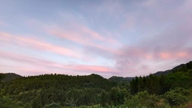 蜂巢里的蜜怎么?。ㄈ∶鄣?種常用方法）