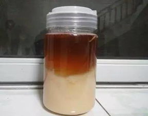 蜂蜜沉淀好還是不沉淀好(正宗蜂蜜的鑒別方法) 蜂蜜沉淀好還是不沉淀好(正宗蜂蜜的鑒別方法)