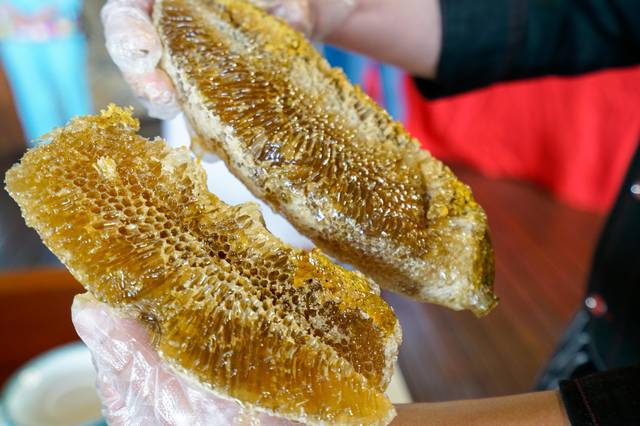 蜂巢有什么作用與功效(蜂巢的食用方法及藥用價值) 蜂巢有什么作用與功效(蜂巢的食用方法及藥用價值)