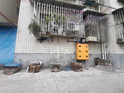 城市陽(yáng)臺(tái)養(yǎng)蜂技術(shù)(家庭養(yǎng)蜂需要什么條件) 城市陽(yáng)臺(tái)養(yǎng)蜂技術(shù)(家庭養(yǎng)蜂需要什么條件)