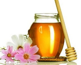 鴨腳木蜜孕婦可以吃嗎(孕婦能適當喝鴨腳木蜜嗎) 鴨腳木蜜孕婦可以吃嗎(孕婦能適當喝鴨腳木蜜嗎)