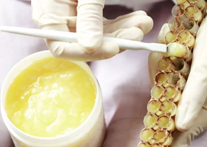 什么是王漿酸(王漿酸的作用與功效) 什么是王漿酸(王漿酸的作用與功效)