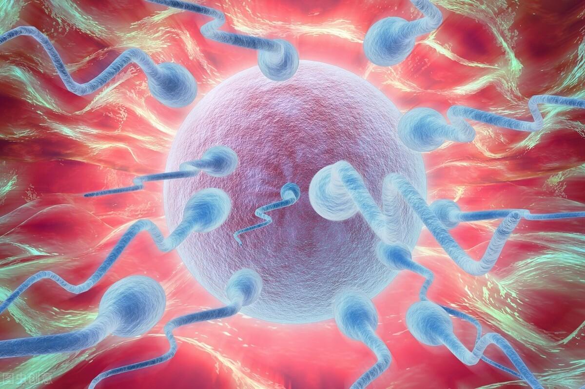 為什么雄蜂和蜂后交配完就會死 為什么雄蜂和蜂后交配完就會死