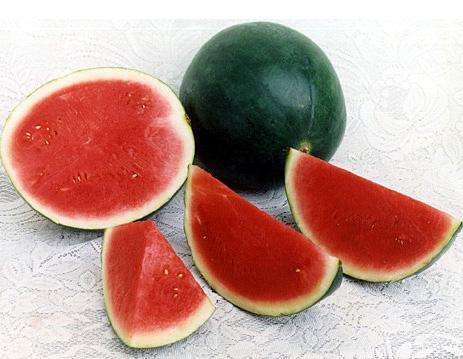 無籽西瓜是什么品種(無籽西瓜的選擇技巧和培育方式) 無籽西瓜是什么品種(無籽西瓜的選擇技巧和培育方式)