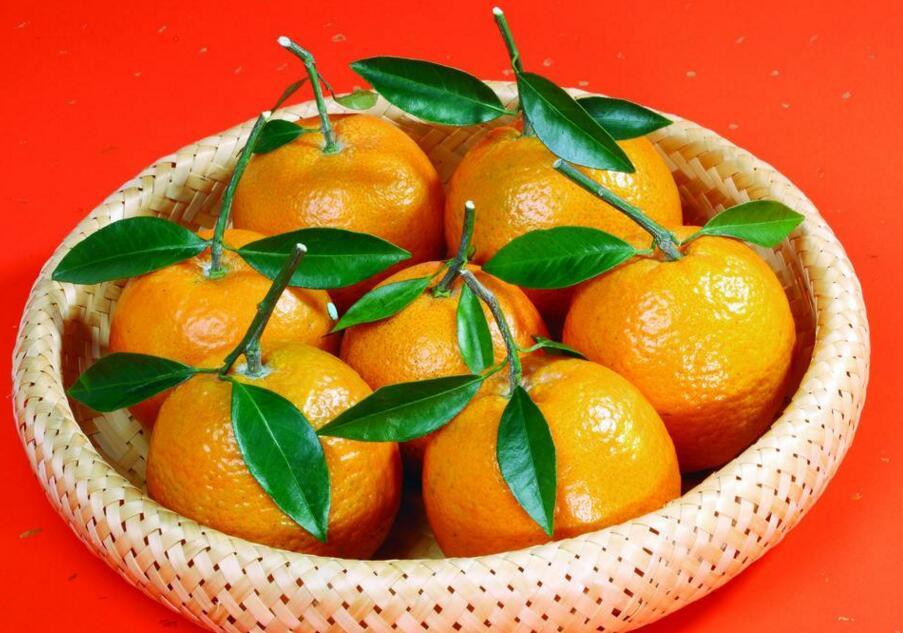 北方適合種什么橘子(推薦北方適宜的柑橘品種) 北方適合種什么橘子(推薦北方適宜的柑橘品種)