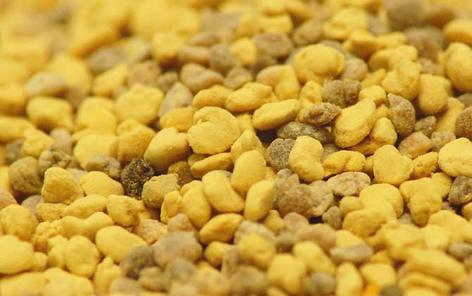 蜂花粉怎么吃效果最好？