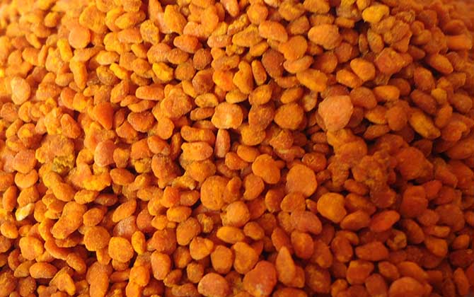 茶花粉和荷花粉哪個好？