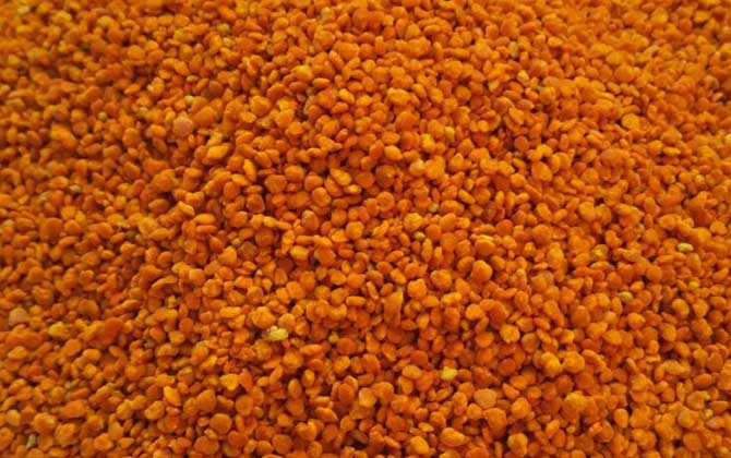 茶花粉和菜花粉哪個(gè)好？