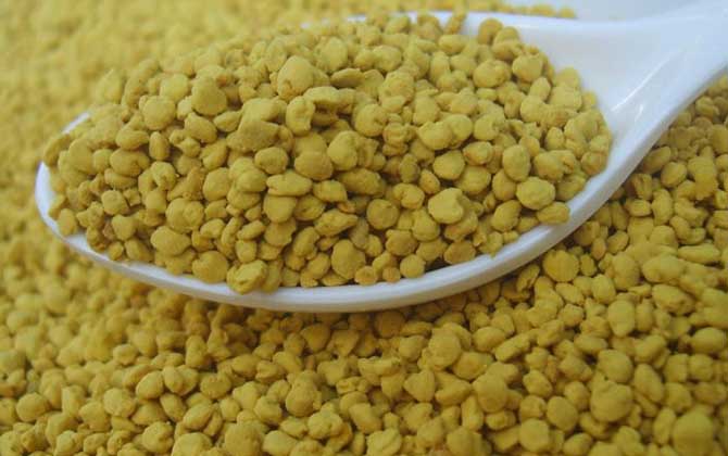 油菜花粉對(duì)性功能有好處嗎？