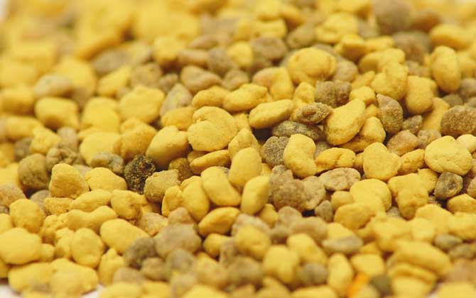 什么人群不適合吃花粉？