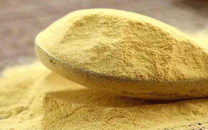 松花粉能治黃褐斑嗎？