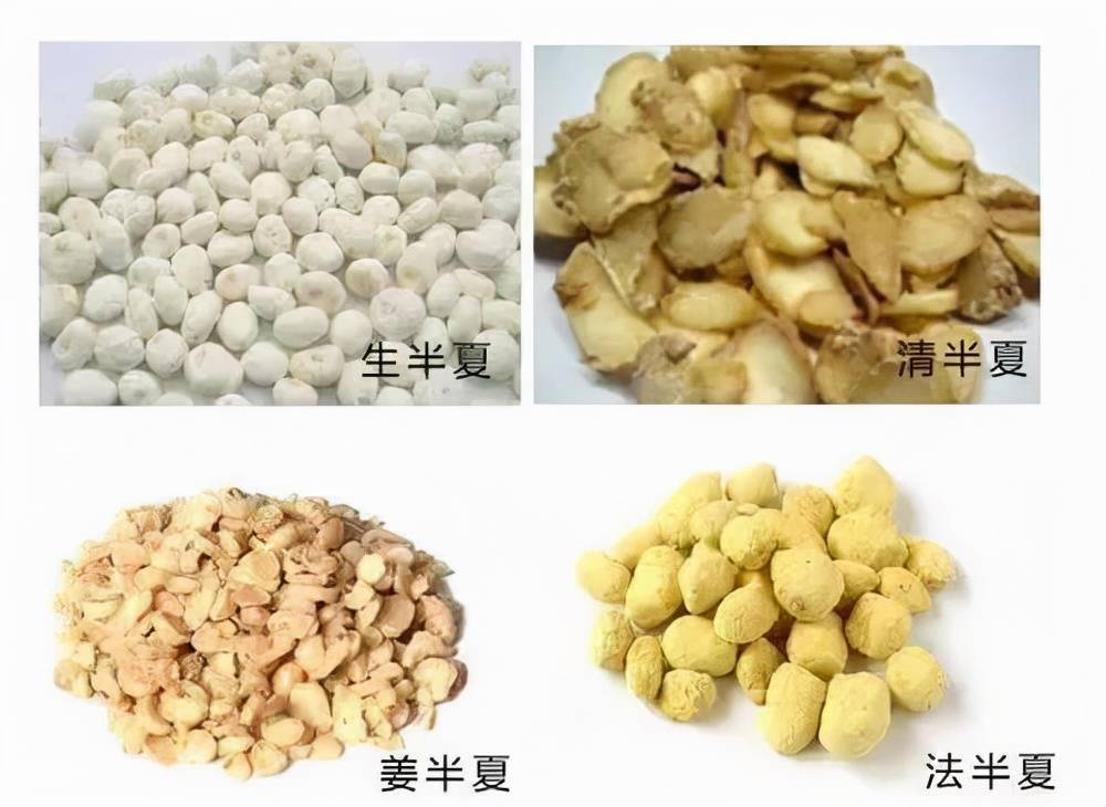 半夏的價(jià)格多少錢(qián)一斤（半夏市場(chǎng)價(jià)格）